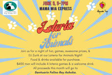 Loteria for Animals [] Mama Mia Express