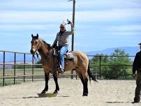 FAB Horsemanship Fundamentals Clinic