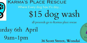 Dog wash fundraiser