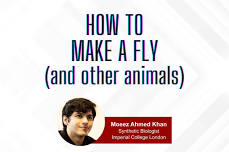 How to Make a Fly (and other animals)