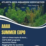 AAAA Summer Expo