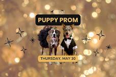 Puppy Prom