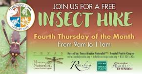 Insect Hike on the 4th Thursday of the Month