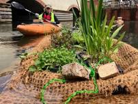 Help build floating habitat islands for York Stream, Maidenhead