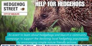 HELP FOR HEDGEHOGS - CULLOMPTON