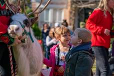 A Very Merry Madison Christmas Celebration