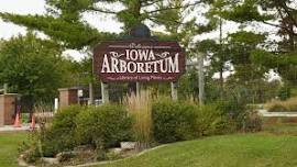 Iowa Arboretum (Kindergarten)