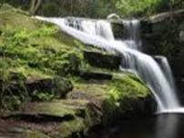 Photography Field Day    -    Enders Falls