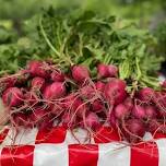 Farmers Market at Barrow Brewing Co.