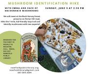 Mushroom Identification Hike