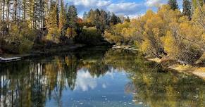 Whitefish Farmers Market