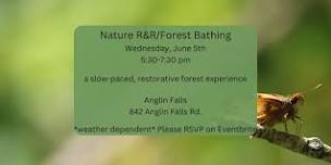 Nature R&R / Forest Bathing