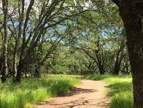 Foothills Regional Park Hike - Special guest hike leader