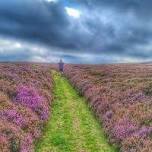 Old yeavering to Wooler.