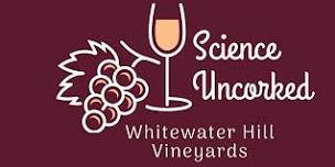 Science Uncorked  Climate Change and Alpine Plants   Mammals,