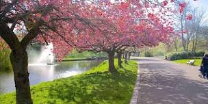 Merseyside  Autistic Adults Walk in Sefton Park