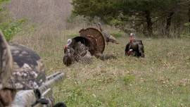 2024 NWTF/ELKS/WWOA Spring Turkey Hunt