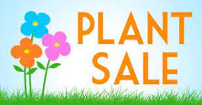 Master Gardener Spring plant sale