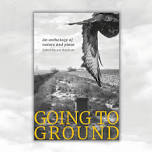 Going to Ground: Launch event