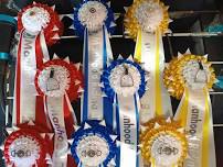 MRC Members Inhand & Ridden Show