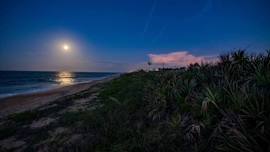 Moonrise At The Beach