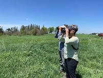 Open Farm Birding Field Day, Potluck & Concert - Pleasant Ridge Grassland Bird Sanctuary