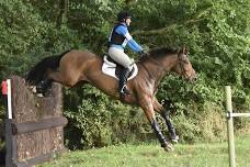 XC schooling / Combined Training - Great Witchingham