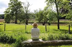 MINDFULNESS EVENT: Forest Bathing Along the Artists’ Trail