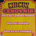 Circus Show