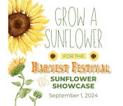 OPPORTUNITY: Grow a Sunflower for the Harvest Festival