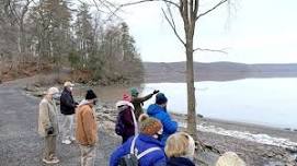 Guided Hike: History Hidden in the Woods