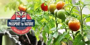 KLT's Passport to Nature: Grow Without A Garden