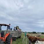 Farm Tour with Meadow Wagon Ride