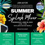 Chamber Summer Splash Member Mixer