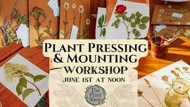 Plant Pressing & Mounting Workshop