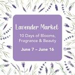 Lavender Market • 10 Days of Blooms, Fragrance & Beauty