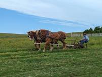 Horse-drawn Mowing and Raking Demonstrations