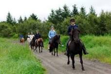 Full-Day Horse Riding & Golden Circle Tour