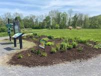 Plant a Willow Fence with Wild Ones Ridge and Valley