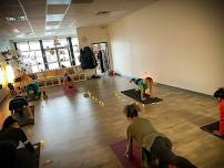 Yoga for Beginners with Tamara — The Crescent Collective