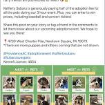 Providence Animal Center Adoption Event