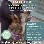 TAO DOG® Event: Dog Training Classes @ Hops On The Hill Brewery