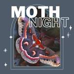 Moth Night at Painters