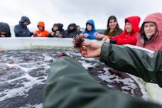 Oregon Seaweed Farm Tour