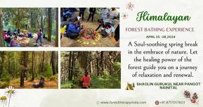 Himalayan Forest Bathing