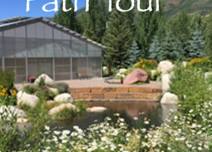 Aspen's Off the Beaten Path Scenic Tour