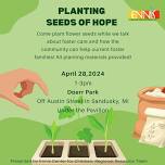 Planting Seeds of Hope