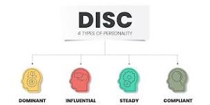 LEVEL UP - DISC Personalities for Business Owners & Professionals