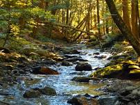 Mt Greylock Photography Group Meet-up: Roaring Brook