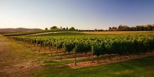 Heathcote Wine Experience Day tour